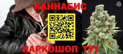 Альфа ПВП Новозыбков