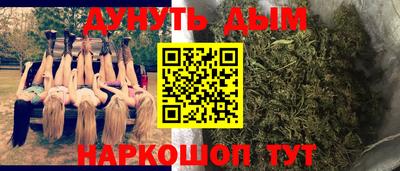сатива Новокубанск