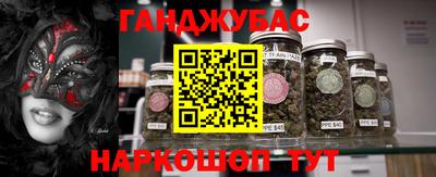 сатива Новокубанск