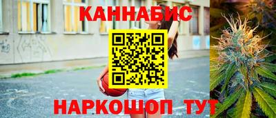 сатива Новокубанск