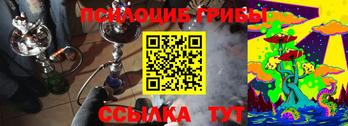 купить закладку  Галлюциногенные грибы Cubensis  Вход с VPN  Топки 