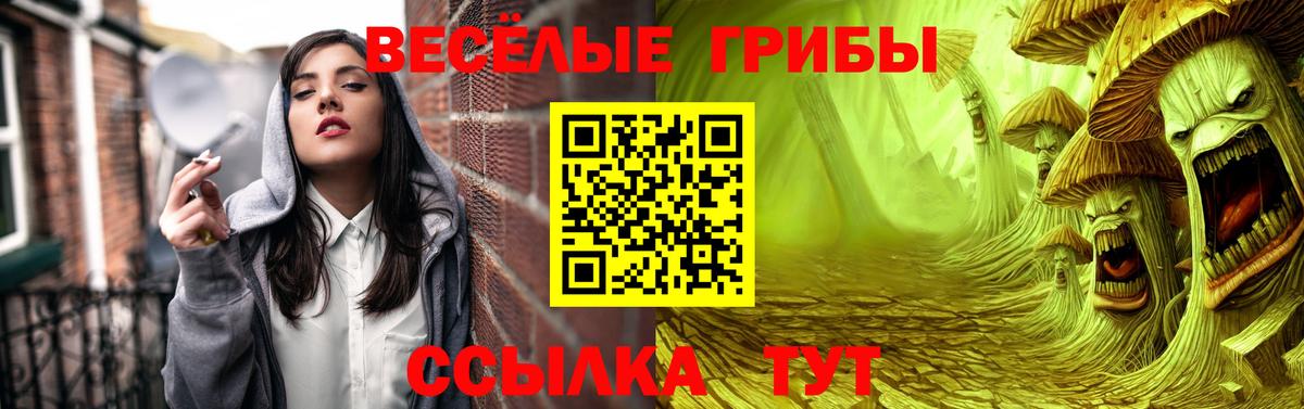 Псилоцибиновые грибы мухоморы Топки